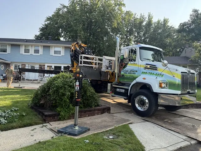 Professional tree removal crew with bucket truck in South Jersey