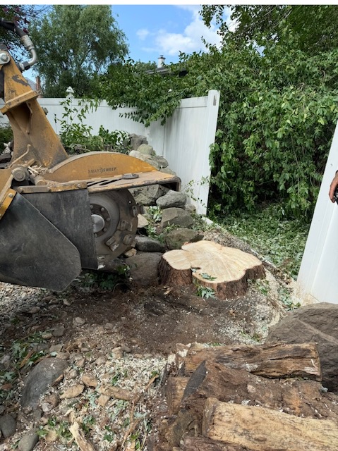 Lot clearing service