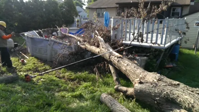 Tree removal in Berlin NJ