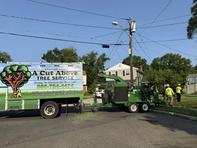 Arborist removing tree in Cinnaminson NJ